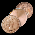 Expanded English Penny Shell Heads