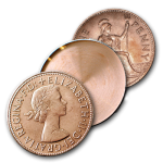 Expanded English Penny Shell Heads